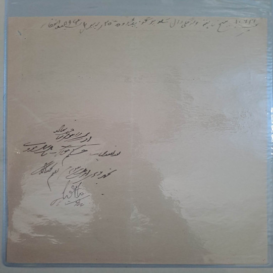 Tonk 8 Annas Stamp Paper (4)