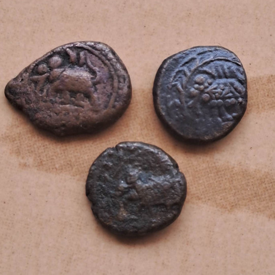 Tipu Sultan 1/4 Paisa - Mixed Mint (1786 Ad - 1799 Ad) - Left Facing Elephant